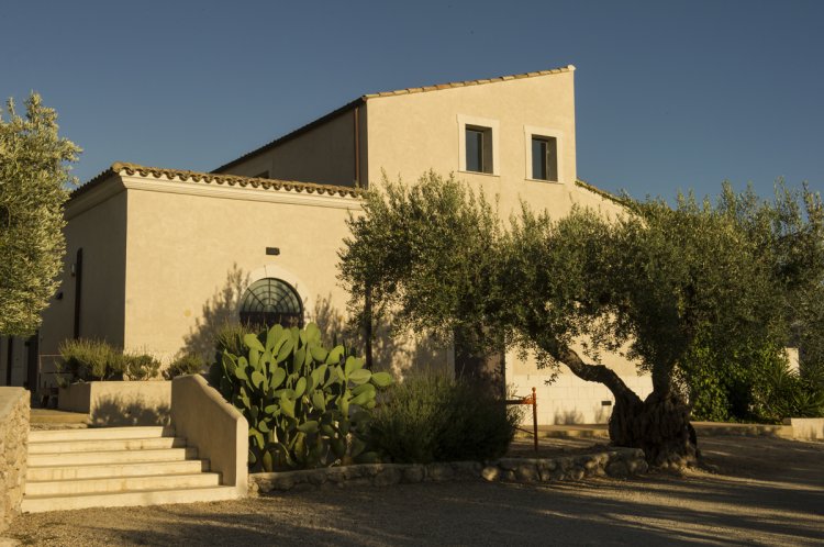 Haus in Sizilien mit sonnenbeleuchteter Fassade, dahinter tief blauer Himmel, vor dem Haus steht ein Olivenbaum und eine Treppe führt links zum Eingang.