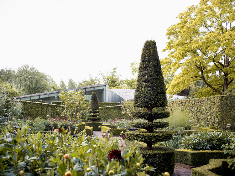 Schlossgarten mit blühenden Dahlien.