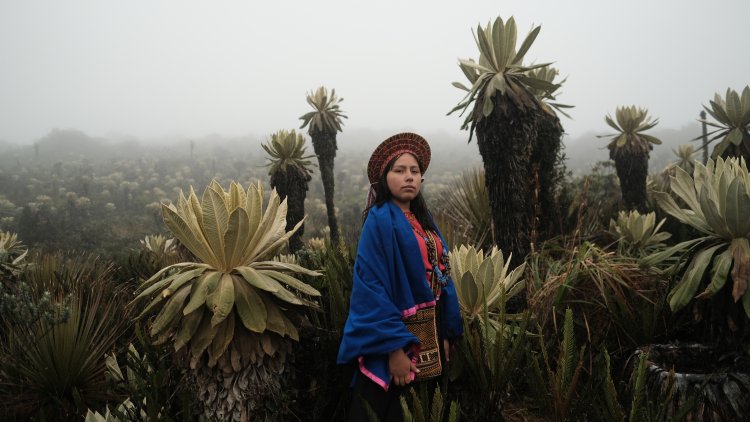 Aufnahme von einer Handwerkskünstlerin vor Palmen in Kolumbien.