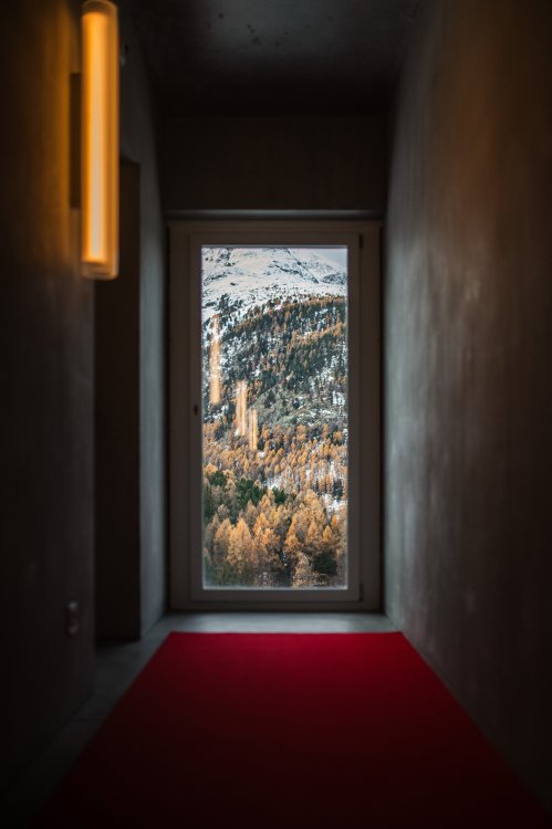 Blick in einen schmalen dunklen Gang mit rotem Teppich. Am Ende zeigt sich ein Fenster, das sich in die Natur öffnet.