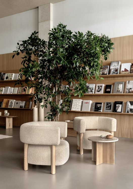 Buchladen mit zwei beigen Sesseln und einer grossen Grünpflanze.