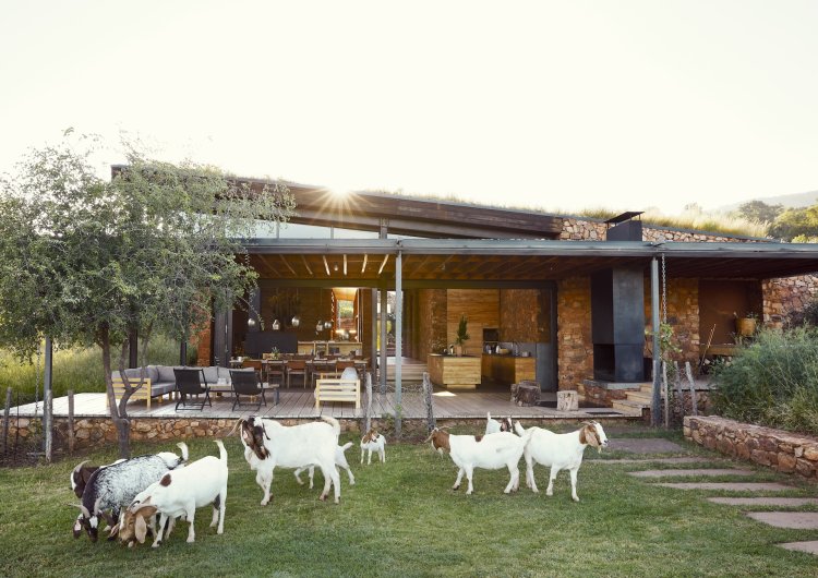 Ein Haus mit Ziegen davor