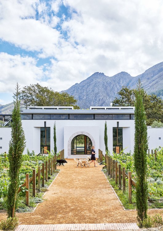 Eine symmetrisch angelegte Zufahrt zu einem weissen, einstöckigen Haus vor einer grünen, hügeligen Landschaft, links und rechts des Weges sind Weintrauben gepflanzt.