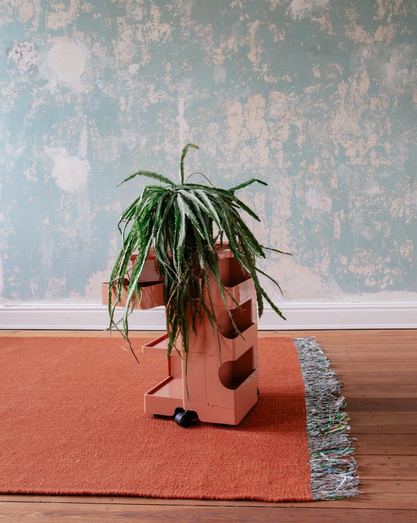 Ein Teppich, darauf steht ein Möbel und eine Pflanze.